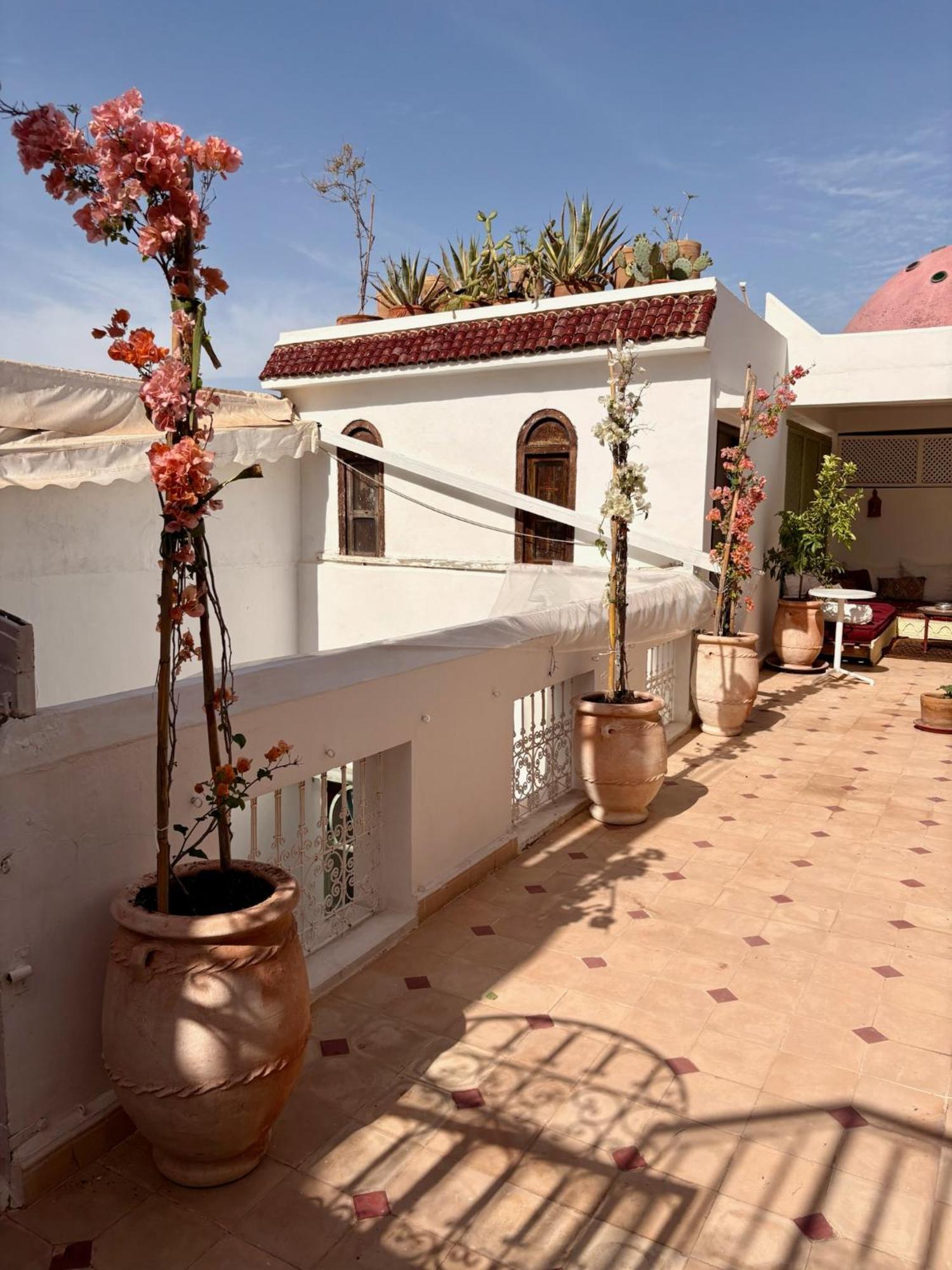 Riad La Cigale Marrakesh Bagian luar foto